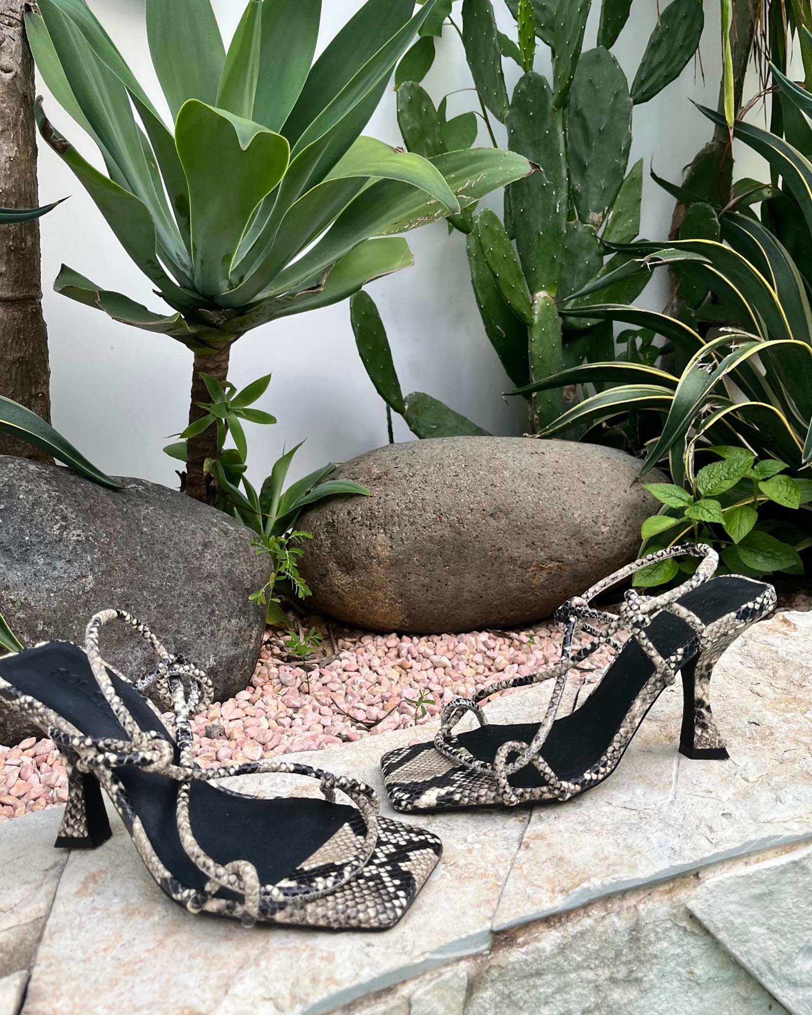 Verne Heel Python - Image 4